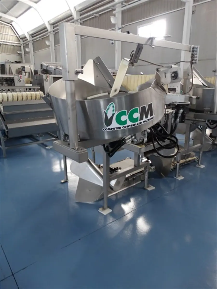 cortadora-automatica-de-maiz-ccm-inox-4