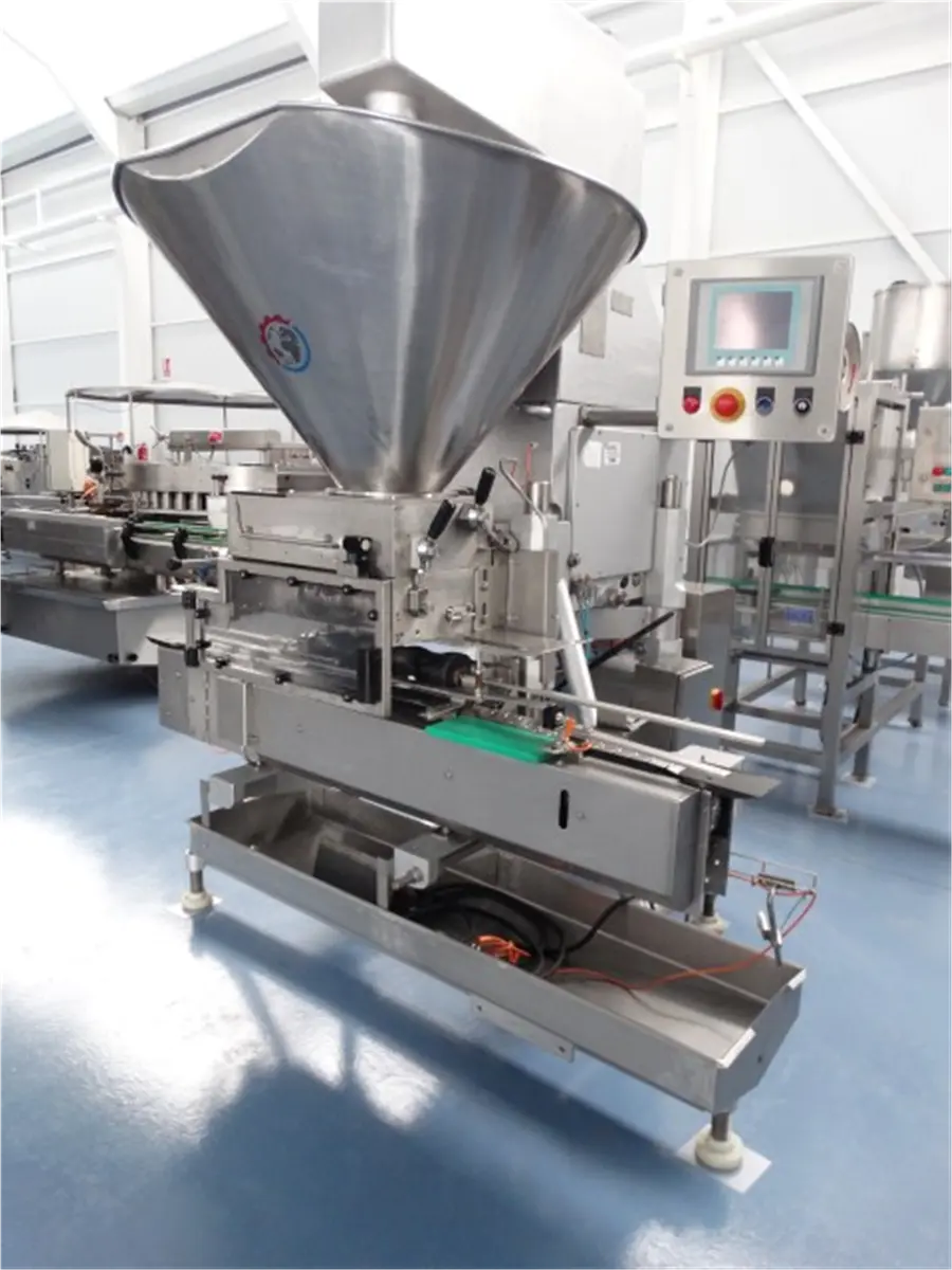 remplisseuse-volumetrique-lineaire-hema-modele-dm-300