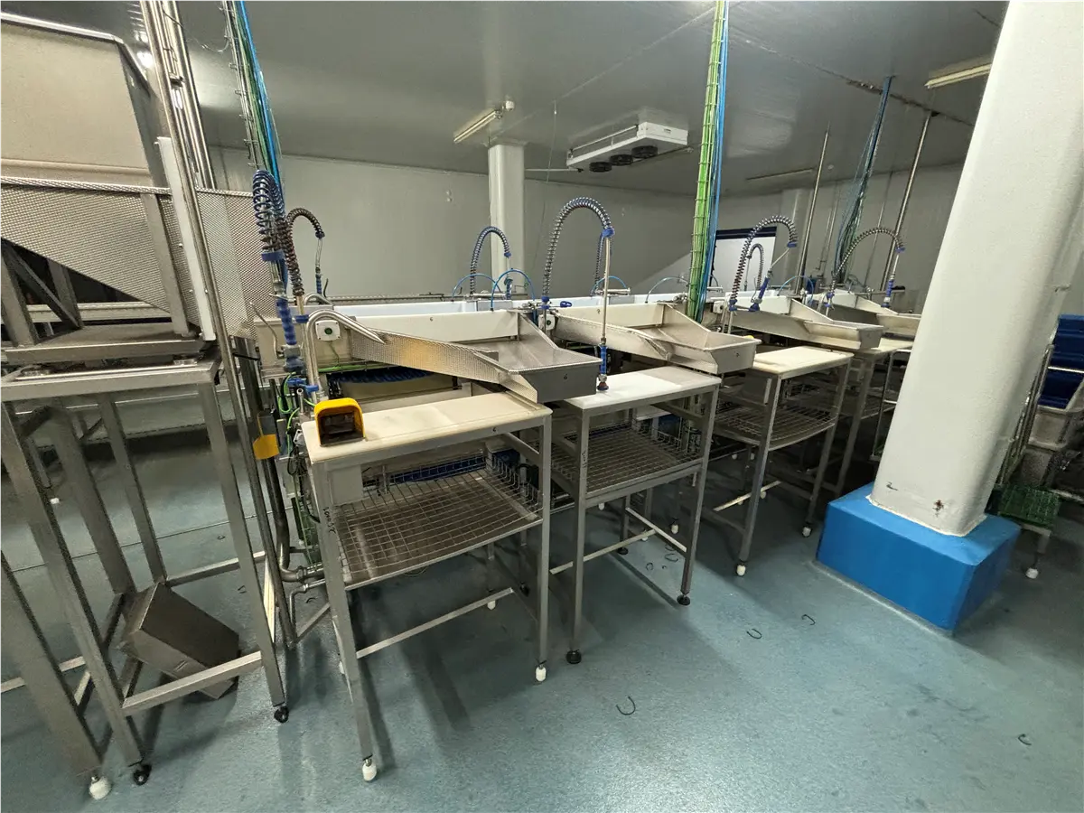 cinta-de-limpieza-de-9-puestos-de-trabajo-grupo-hrg-l-7-10-m