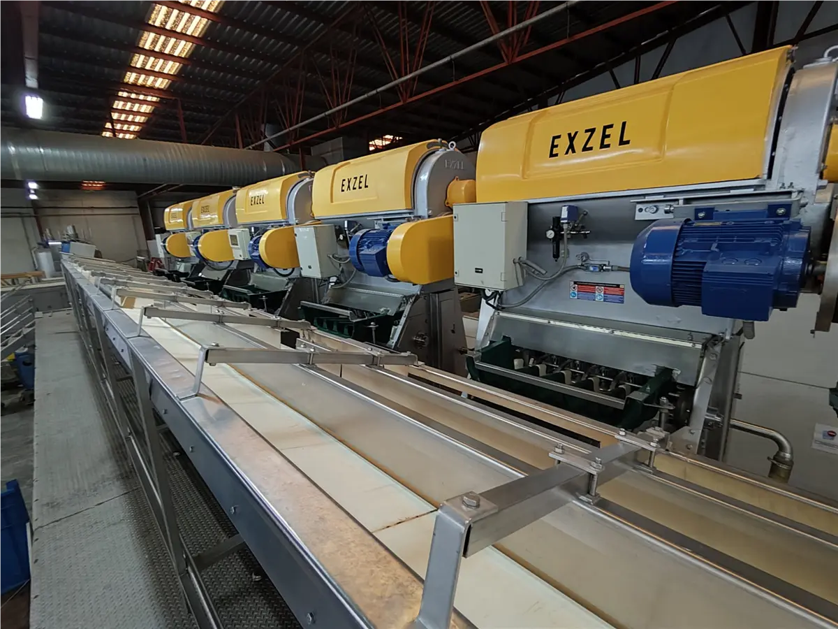 cinta-transportadora-de-lona-de-alimentacion-a-exprimidoras-inox-l-14-m