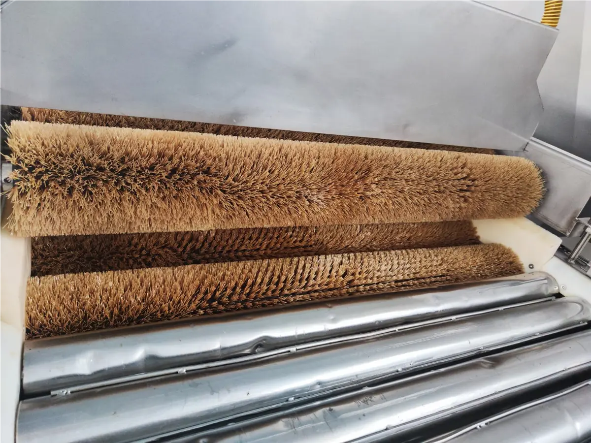 spazzolatrice-in-linea