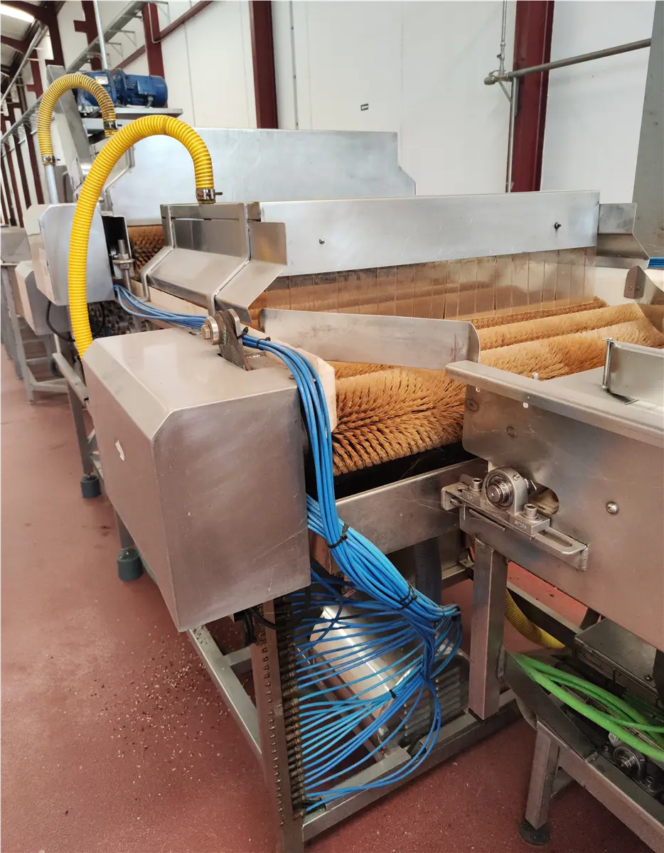 spazzolatrice-in-linea