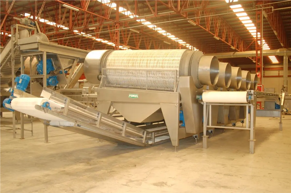 ebouteuse-de-haricots-verts-femia-e62-1