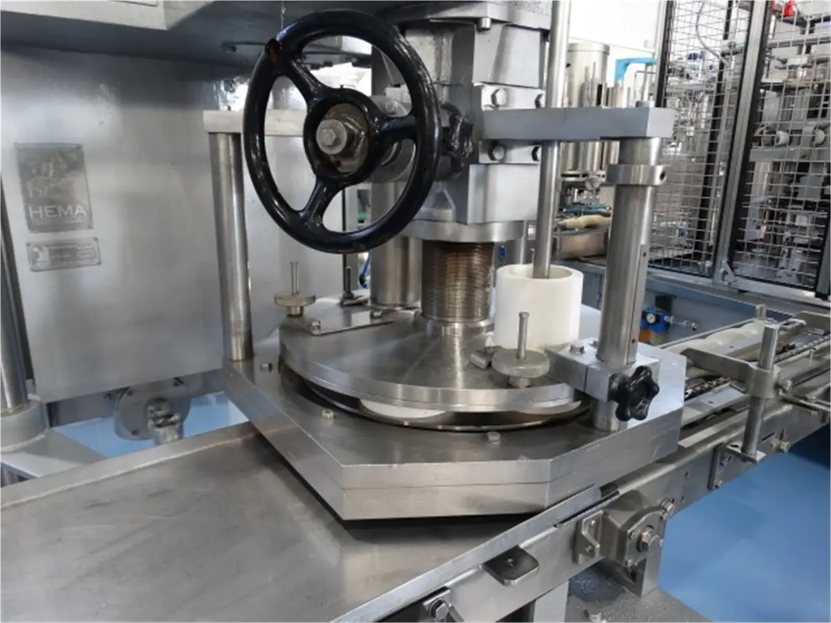 llenadora-de-piston-hema-inox