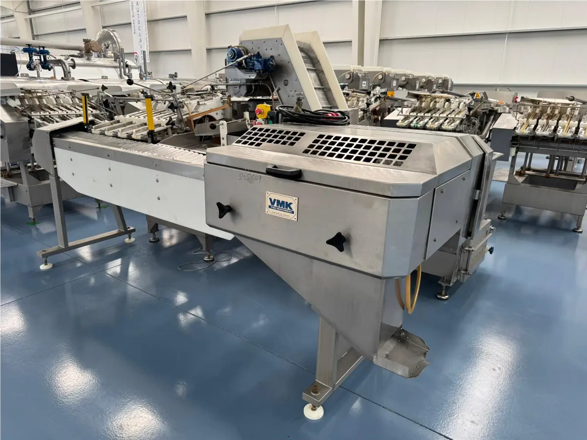 tteuse-de-plagiques-1