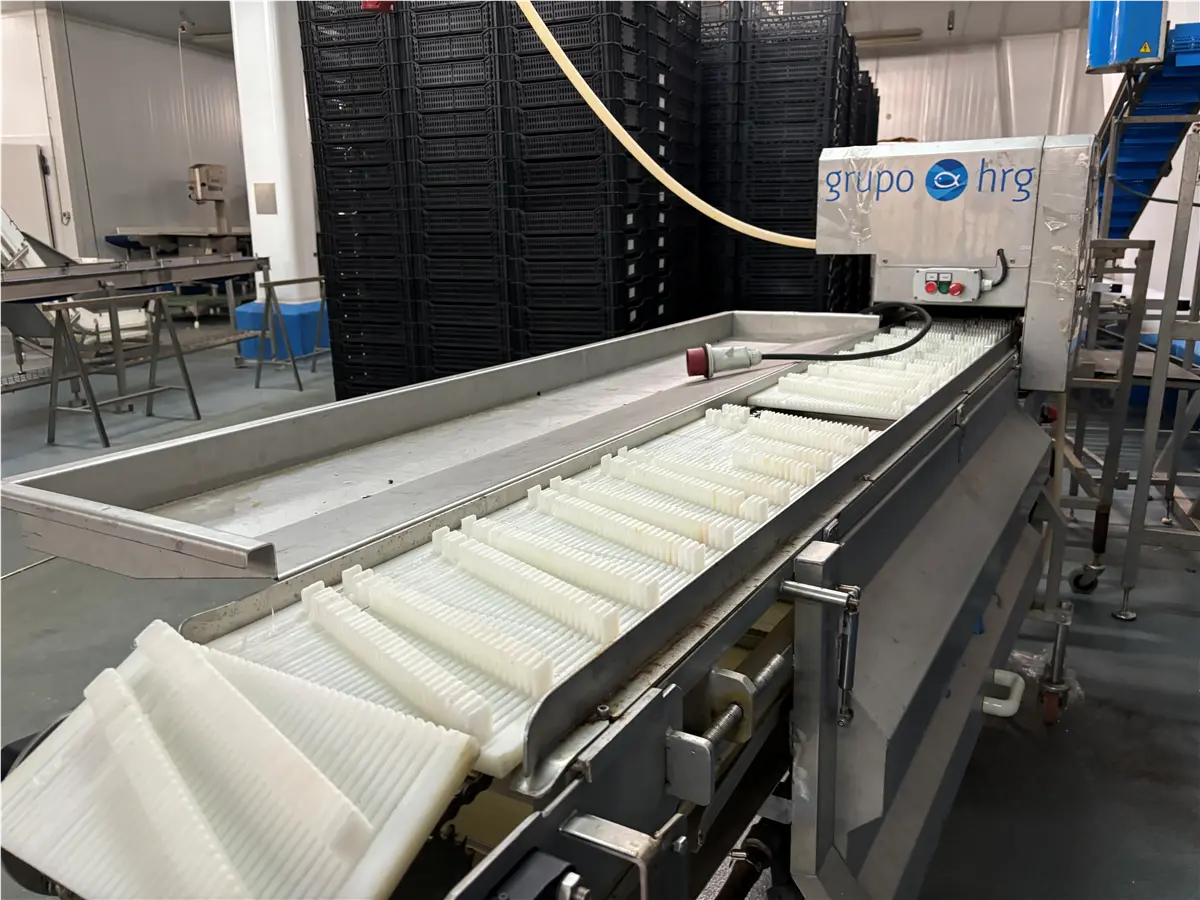 cortadora-rebanadora-grupo-hrg