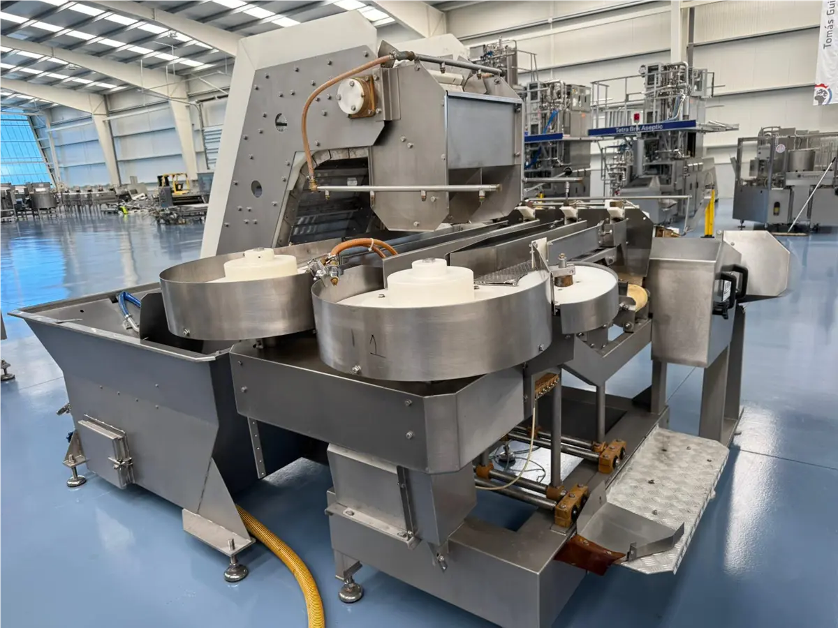 tteuse-de-plagiques-4