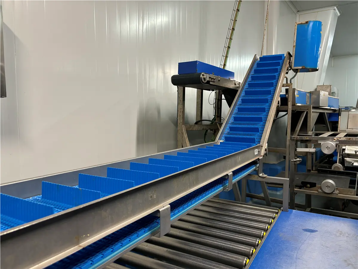 elevador-de-banda-modular-y-palas-palinox-descarga-1-96-m