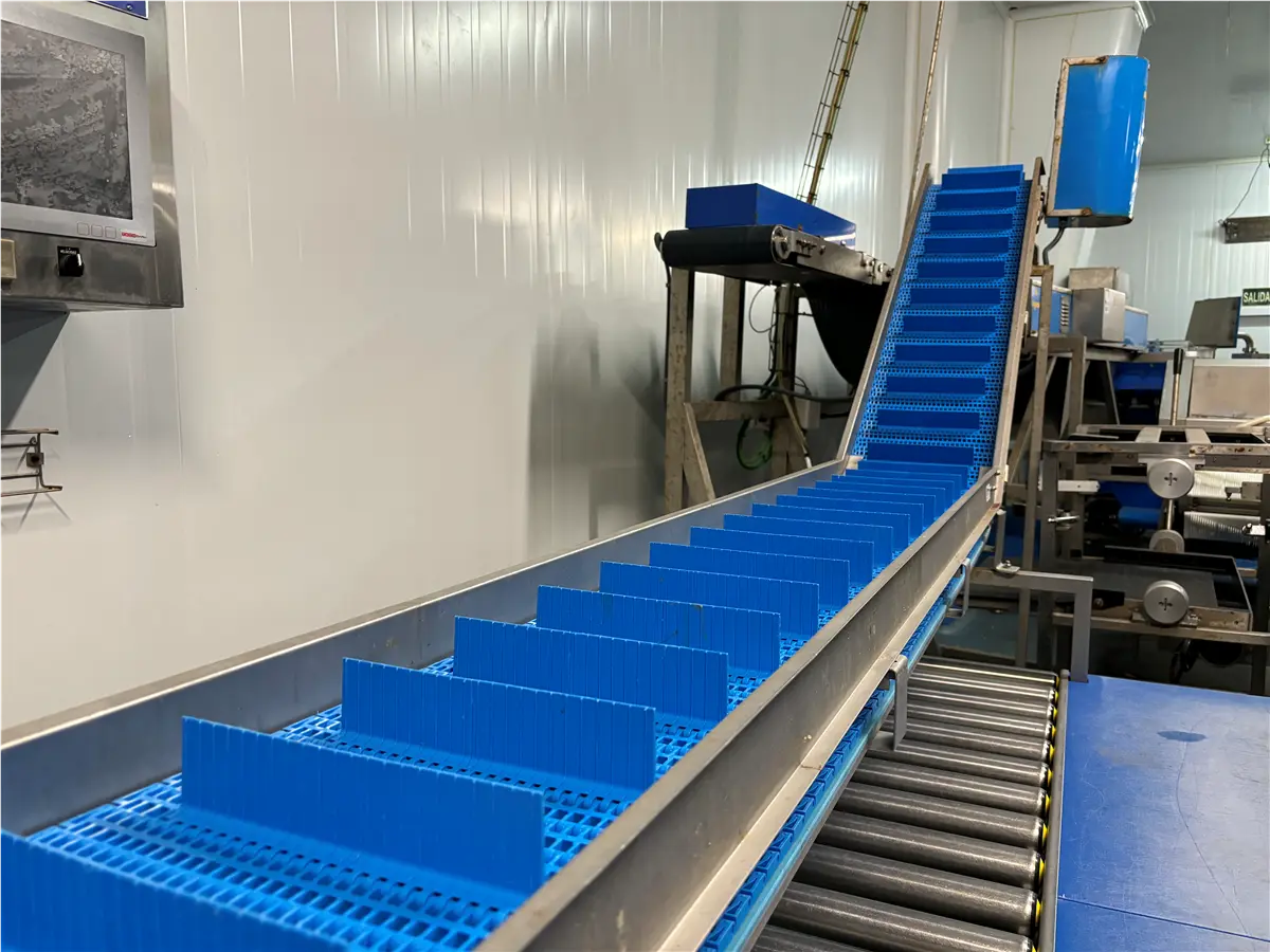 elevador-de-banda-modular-y-palas-palinox-descarga-1-96-m