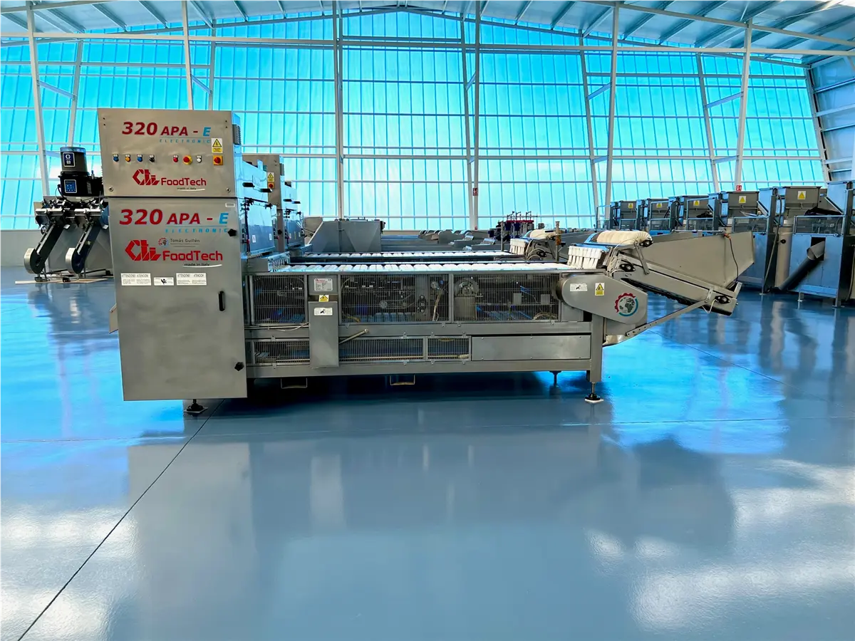 s-s-pitter-halver-for-apricot-cti-320-apa-e-inox-1