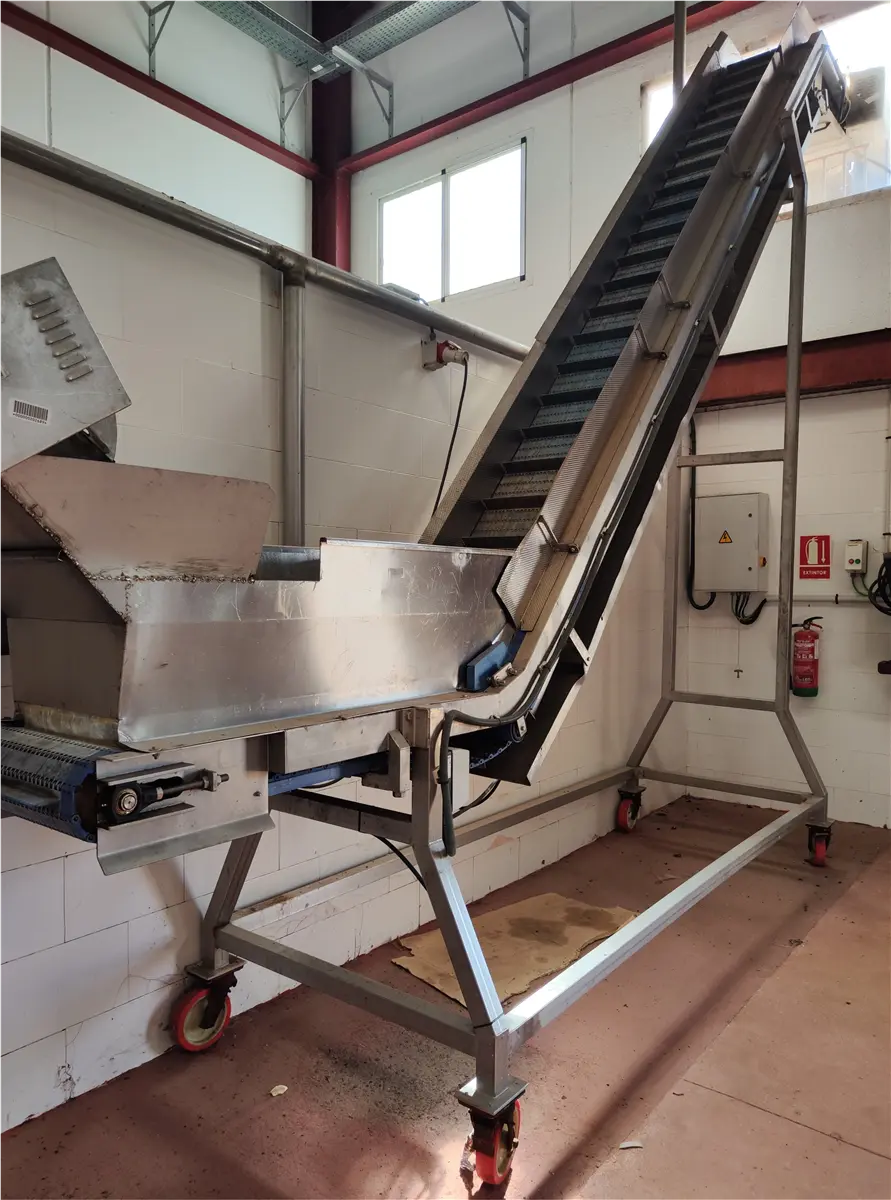 s-s-paddles-and-mesh-elevating-belt-with-hopper-2