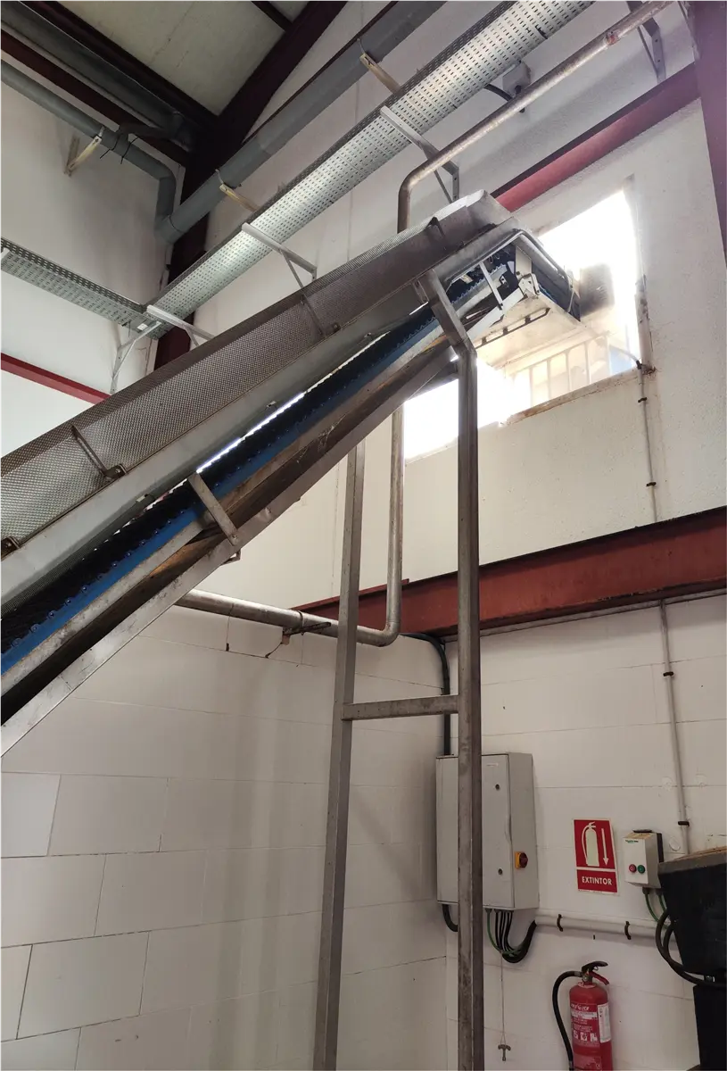 s-s-paddles-and-mesh-elevating-belt-with-hopper-2