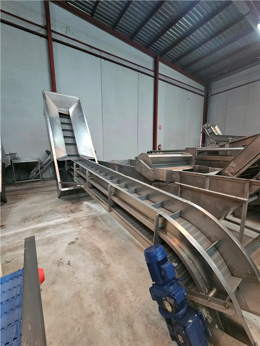 modular-elevating-belt-with-hopper-3