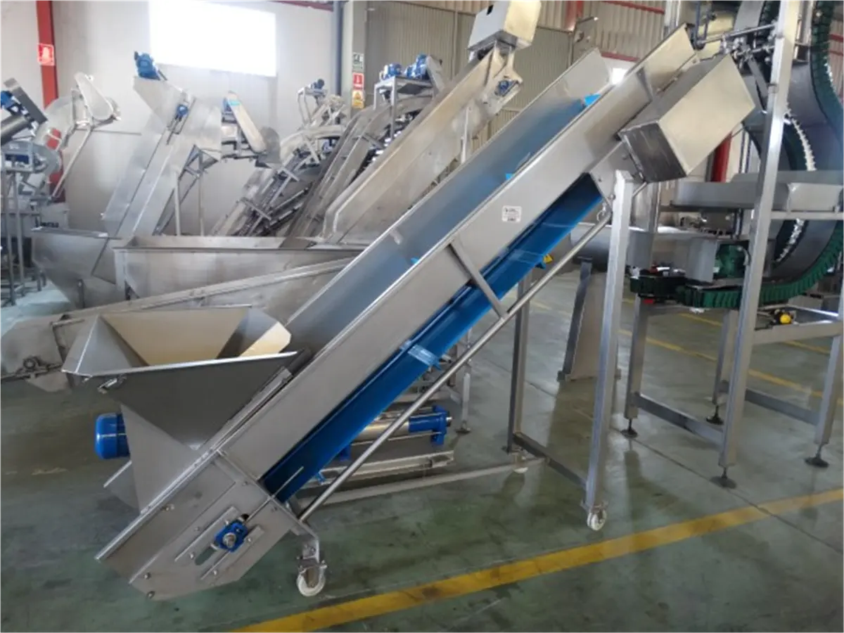 elevador-de-cangilones-de-lona-con-tolva-descarga-2-m-a-50-cm