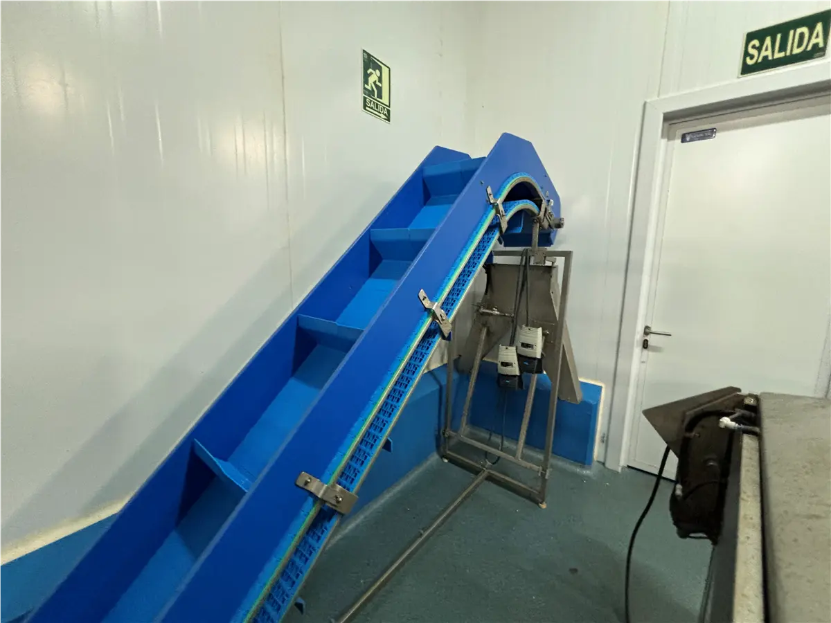 elevador-de-banda-modular-y-palas-escarga-1-57-m