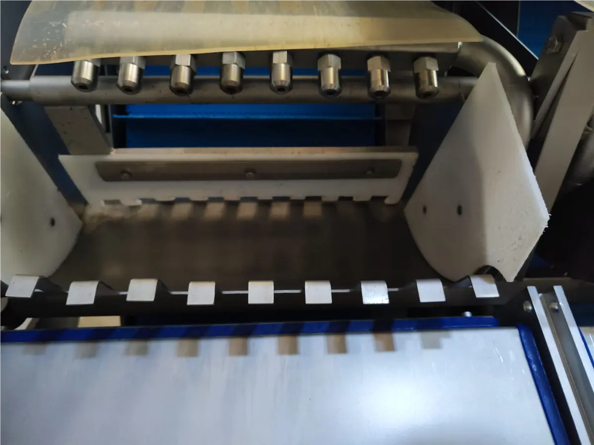 palinox-cephalopods-peeler