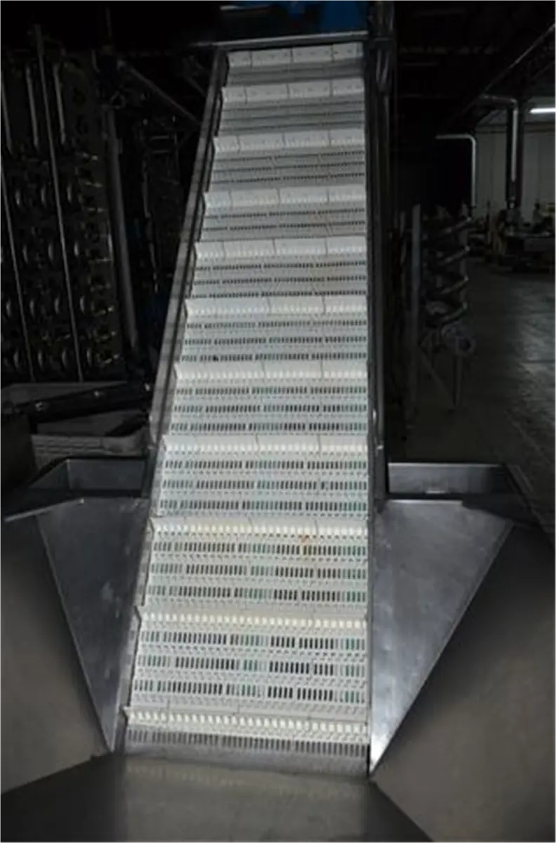 elevador-de-cangilones-de-banda-modular-con-balsa-en-acero-inox-1