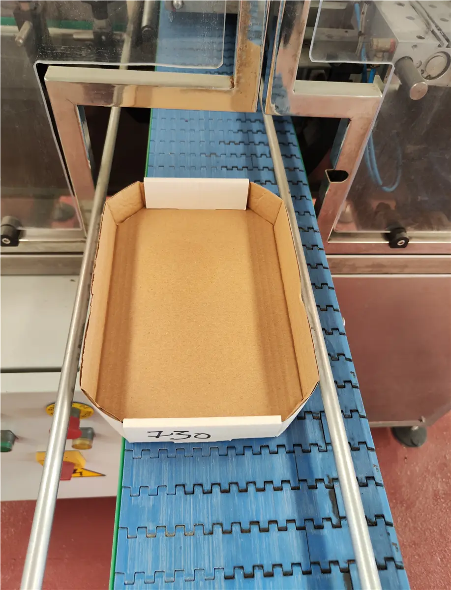 posicionadora-embandejadora-de-bandejas-cometsa