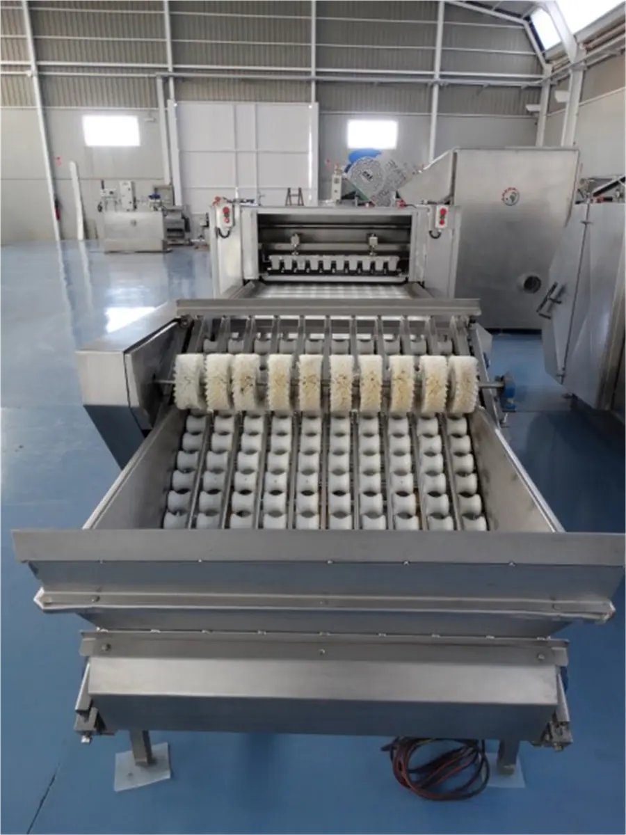 partidora-deshuesadora-de-albaricoque-en-acero-inox-sergui-2