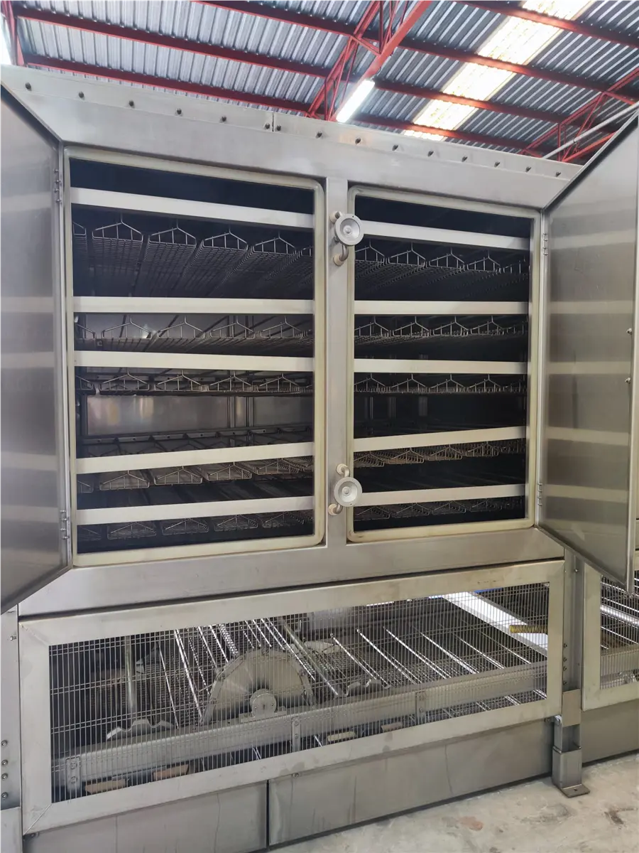 cocedor-lineal-de-sardina-inox